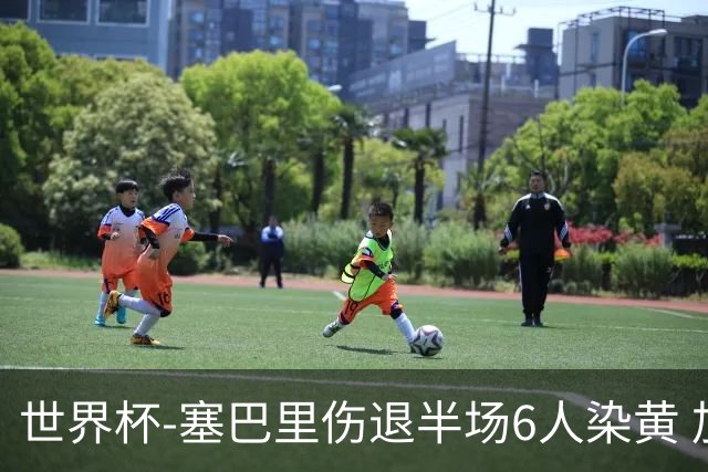 世界杯-塞巴里伤退半场6人染黄 加拿大半场0-0摩洛哥