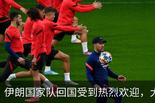 伊朗国家队回国受到热烈欢迎，大批球迷接机
